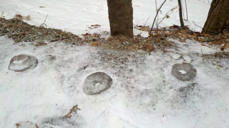 Ice-noughts